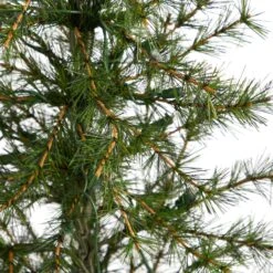 3’ Artificial Christmas Tree With 50 Clear LED Lights Set In A Burlap Base -Artificial Trees Store artificial 3 artificial christmas tree with 50 clear led lights set in a burlap base nearly natural 700474