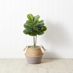 3' Artificial Fiddle Leaf Fig Tree With Handmade Cotton & Jute Woven Basket DIY Kit 20 3' Artificial Fiddle Leaf Fig Tree With Handmade Cotton & Jute Woven Basket DIY Kit -Artificial Trees Store artificial 3 artificial fiddle leaf fig tree with handmade cotton jute woven basket diy kit nearly natural gray 881755