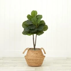 3' Artificial Fiddle Leaf Fig Tree With Handmade Cotton & Jute Woven Basket DIY Kit 22 3' Artificial Fiddle Leaf Fig Tree With Handmade Cotton & Jute Woven Basket DIY Kit -Artificial Trees Store artificial 3 artificial fiddle leaf fig tree with handmade cotton jute woven basket diy kit nearly natural neutral jute 562071