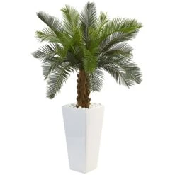 3’ Cycas Tree In White Tower Planter
