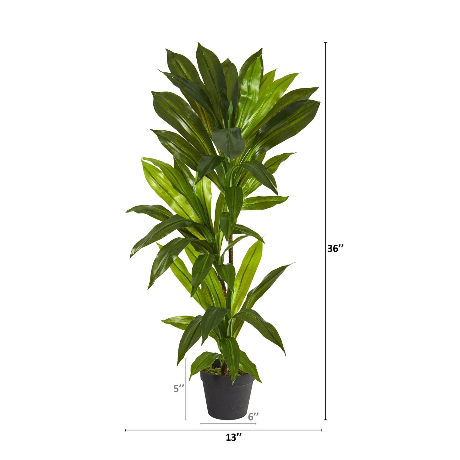 3' Dracaena Artificial Plant (Real Touch) 2 3' Dracaena Artificial Plant (Real Touch) - Image 2