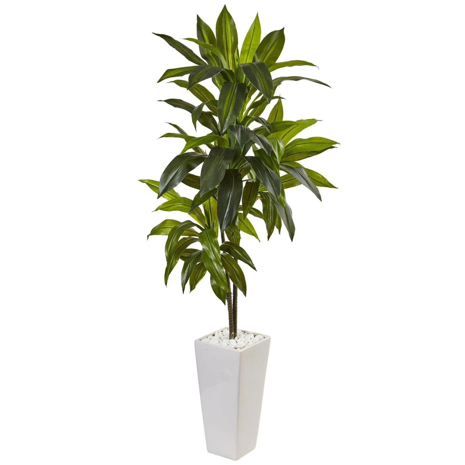 3’ Dracaena Plant In White Tower Planter 1 3’ Dracaena Plant In White Tower Planter