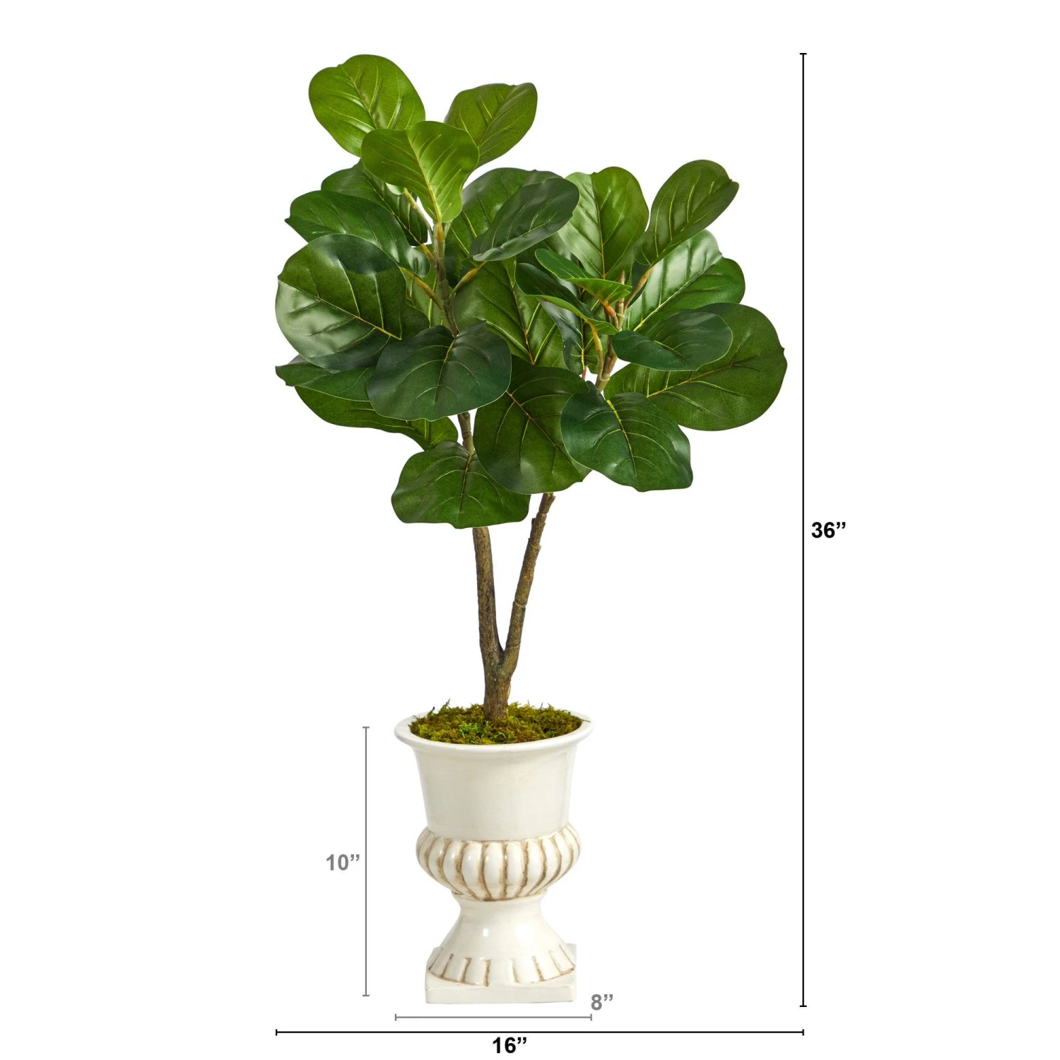 3’ Fiddle Leaf Fig Artificial Tree In White Urn 2 3’ Fiddle Leaf Fig Artificial Tree In White Urn - Image 2
