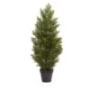 3’ Mini Cedar Pine Tree (Indoor/Outdoor)