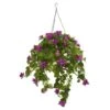 3’ Mixed Stephanotis And Bougainvillea Artificial Plant In Hanging Cone