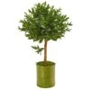 3’ Olive Topiary Artificial Tree In Green Planter (Indoor/Outdoor)