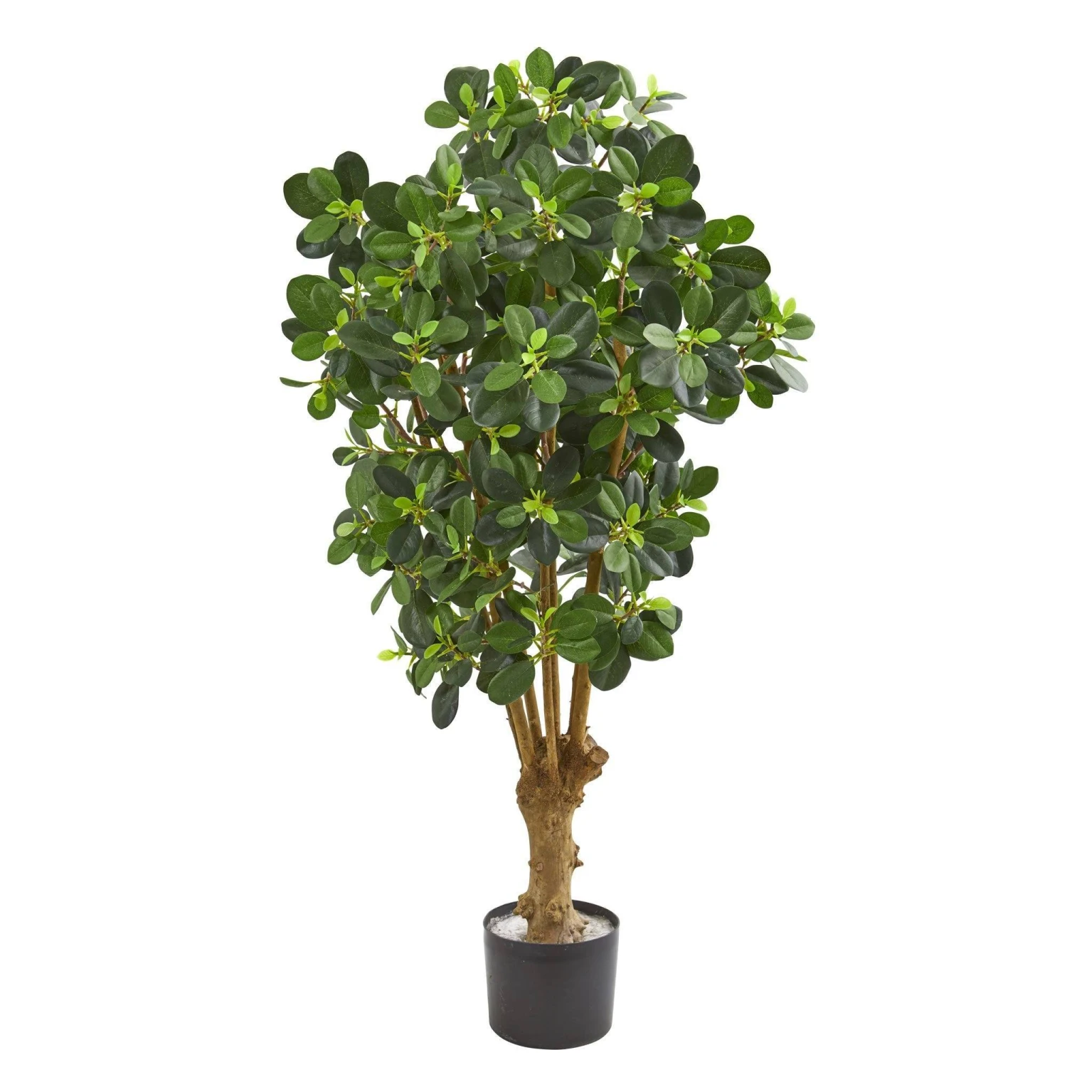 3’ Panda Ficus Artificial Tree 1 3’ Panda Ficus Artificial Tree
