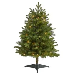 3’ Washington Fir Artificial Christmas Tree With 50 Clear Lights
