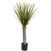 3’ Yucca Tree W/699 Lvs