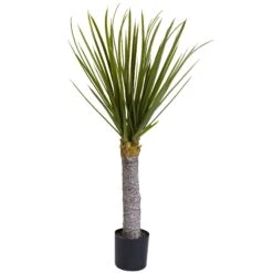 3’ Yucca Tree W/699 Lvs