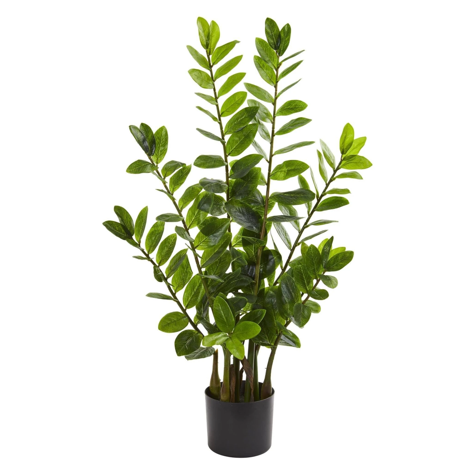 3’ Zamioculcas Artificial Plant 1 3’ Zamioculcas Artificial Plant