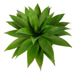 30” Agave Succulent Artificial Plant In White Planter With Metal Stand 7 30” Agave Succulent Artificial Plant In White Planter With Metal Stand -Artificial Trees Store artificial 30 agave succulent artificial plant in white planter with metal stand nearly natural 529208