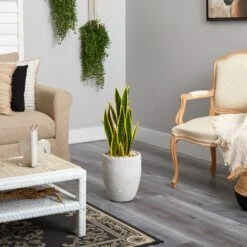 30” Sansevieria Artificial Plant In White Planter -Artificial Trees Store artificial 30 sansevieria artificial plant in white planter nearly natural 661130