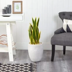 30” Sansevieria Artificial Plant In White Planter -Artificial Trees Store artificial 30 sansevieria artificial plant in white planter nearly natural 664010