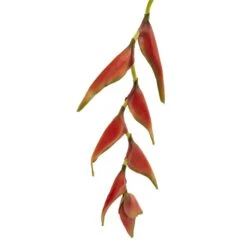 31’’ Hanging Heliconia Artificial Flower (Set Of 4) -Artificial Trees Store artificial 31 hanging heliconia artificial flower set of 4 nearly natural 574047