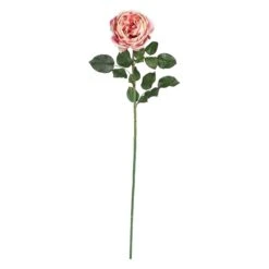 31" Large Rose Stem (Set Of 12)"