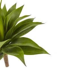32” Agave Plant W/Stem -Artificial Trees Store artificial 32 agave plant wstem nearly natural 670534