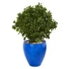 32” Peperomia Artificial Plant In Blue Planter(Indoor/Outdoor)