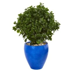 32” Peperomia Artificial Plant In Blue Planter(Indoor/Outdoor)