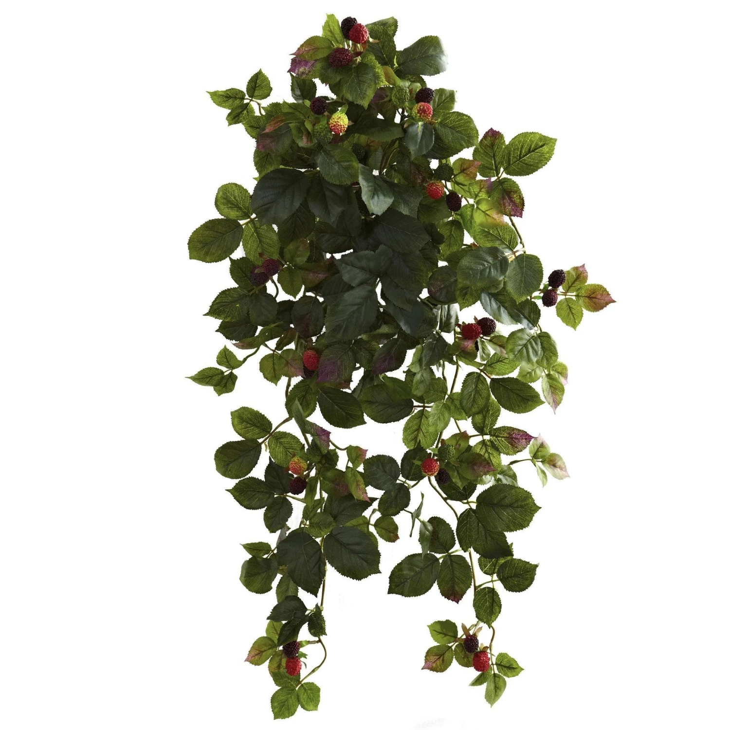 32” Raspberry Hanging Bush With Berry (Set Of 2) 1 32” Raspberry Hanging Bush With Berry (Set Of 2)
