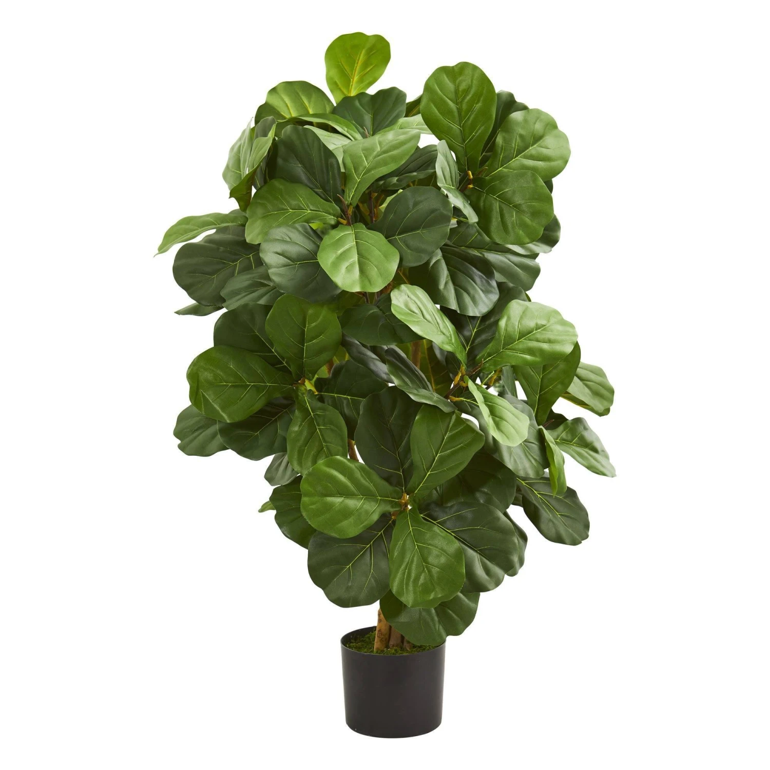 3.5’ Fiddle Leaf Artificial Tree 1 3.5’ Fiddle Leaf Artificial Tree