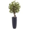 3.5’ Olive Tree In Gray Cylinder Planter