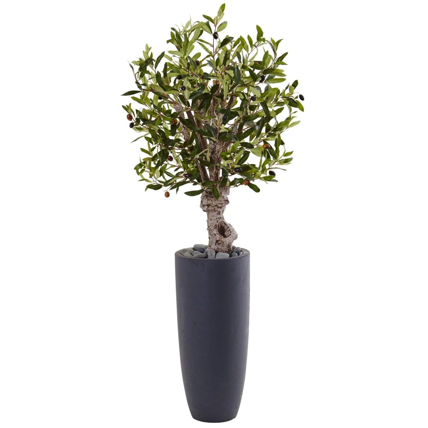 3.5’ Olive Tree In Gray Cylinder Planter 1 3.5’ Olive Tree In Gray Cylinder Planter