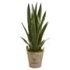 3.5’ Sansevieria Artificial Plant In Farmhouse Planter