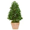 39” Bay Leaf Cone Topiary Artificial Tree In Terra Cotta Planter(Indoor/Outdoor)