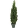 4' Cedar Tree Silk Tree (In-door/Out-door)