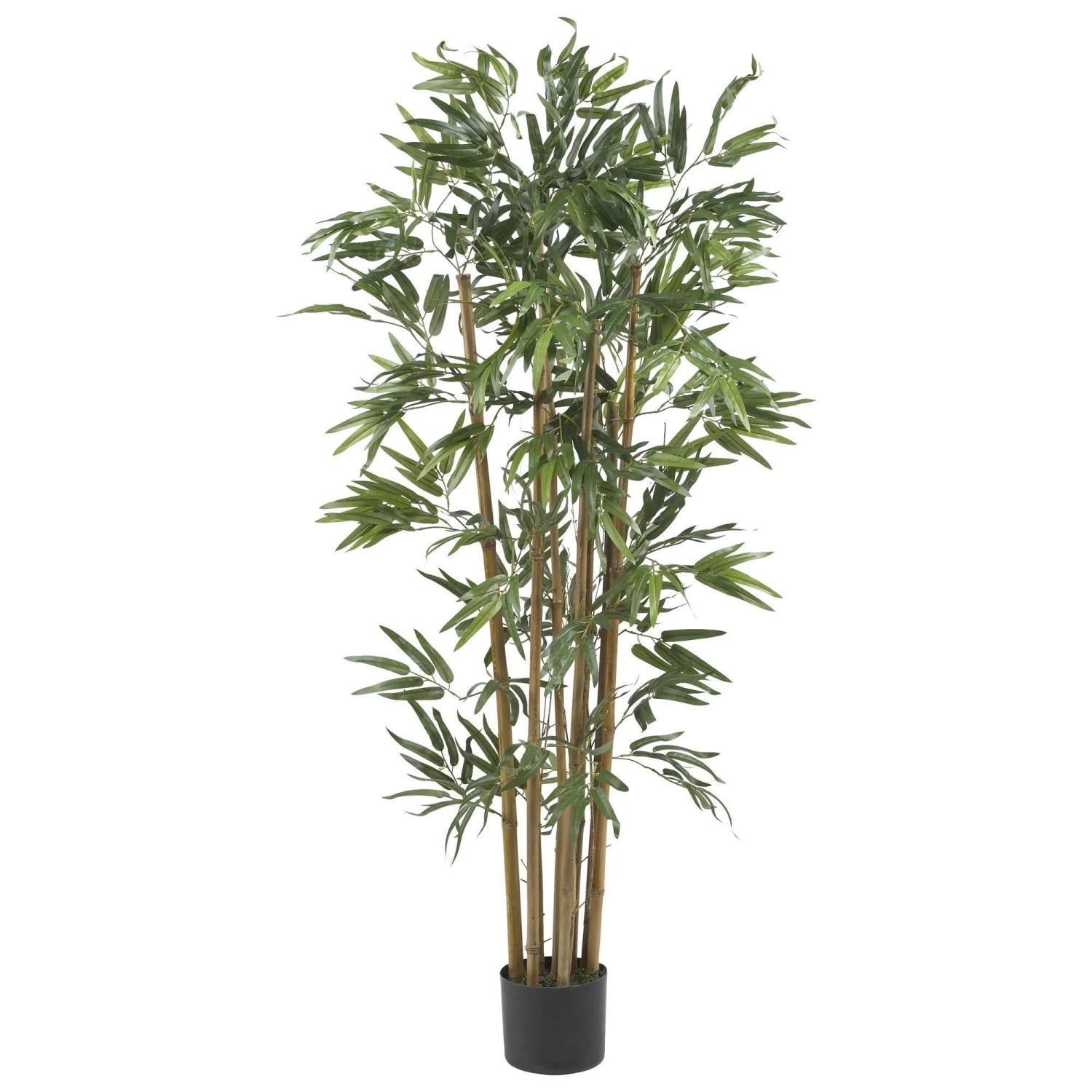 4' Multi Bambusa Bamboo Silk Tree 1 4' Multi Bambusa Bamboo Silk Tree