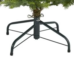 4’ North Carolina Spruce Artificial Christmas Tree With 100 Clear Lights And 207 Bendable Branches 10 4’ North Carolina Spruce Artificial Christmas Tree With 100 Clear Lights And 207 Bendable Branches -Artificial Trees Store artificial 4 north carolina spruce artificial christmas tree with 100 clear lights and 207 bendable branches nearly natural 613376