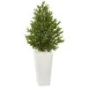 4’ Olive Cone Topiary Artificial Tree In White Planter(Indoor/Outdoor)