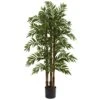 4’ Parlour Palm Tree