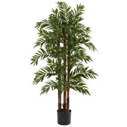 4’ Parlour Palm Tree