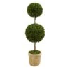 4’ Preserved Boxwood Double Ball Topiary Tree In Planter