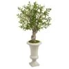 40” Olive Artificial Tree In Urn