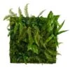 40” X 40” Forest Artificial Living Wall