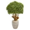 41” Boxwood Artificial Topiary Tree In Sandstone Planter (Indoor/Outdoor)