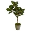 41” Magnolia Leaf Artificial Tree In Olive Green Planter