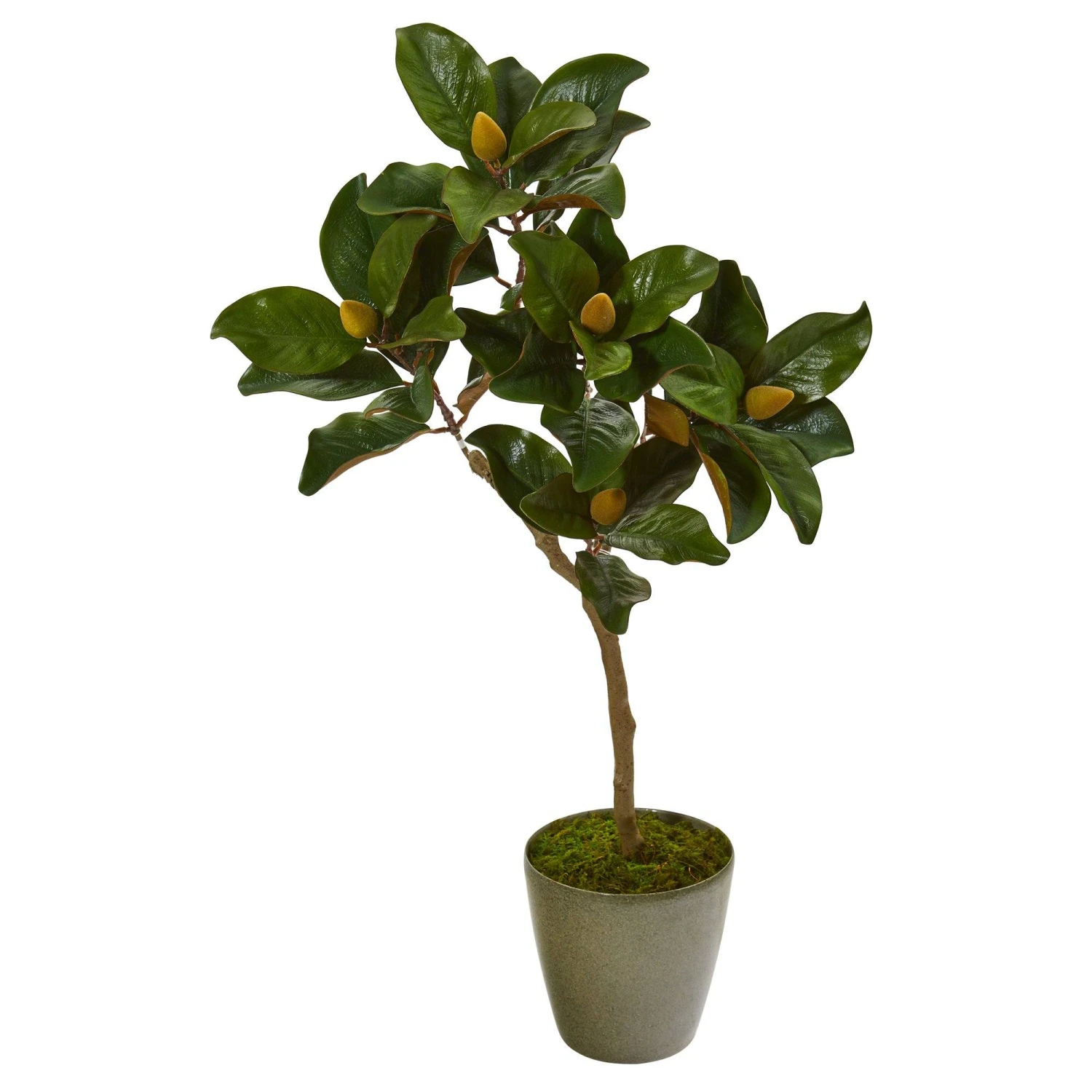 41” Magnolia Leaf Artificial Tree In Olive Green Planter 1 41” Magnolia Leaf Artificial Tree In Olive Green Planter