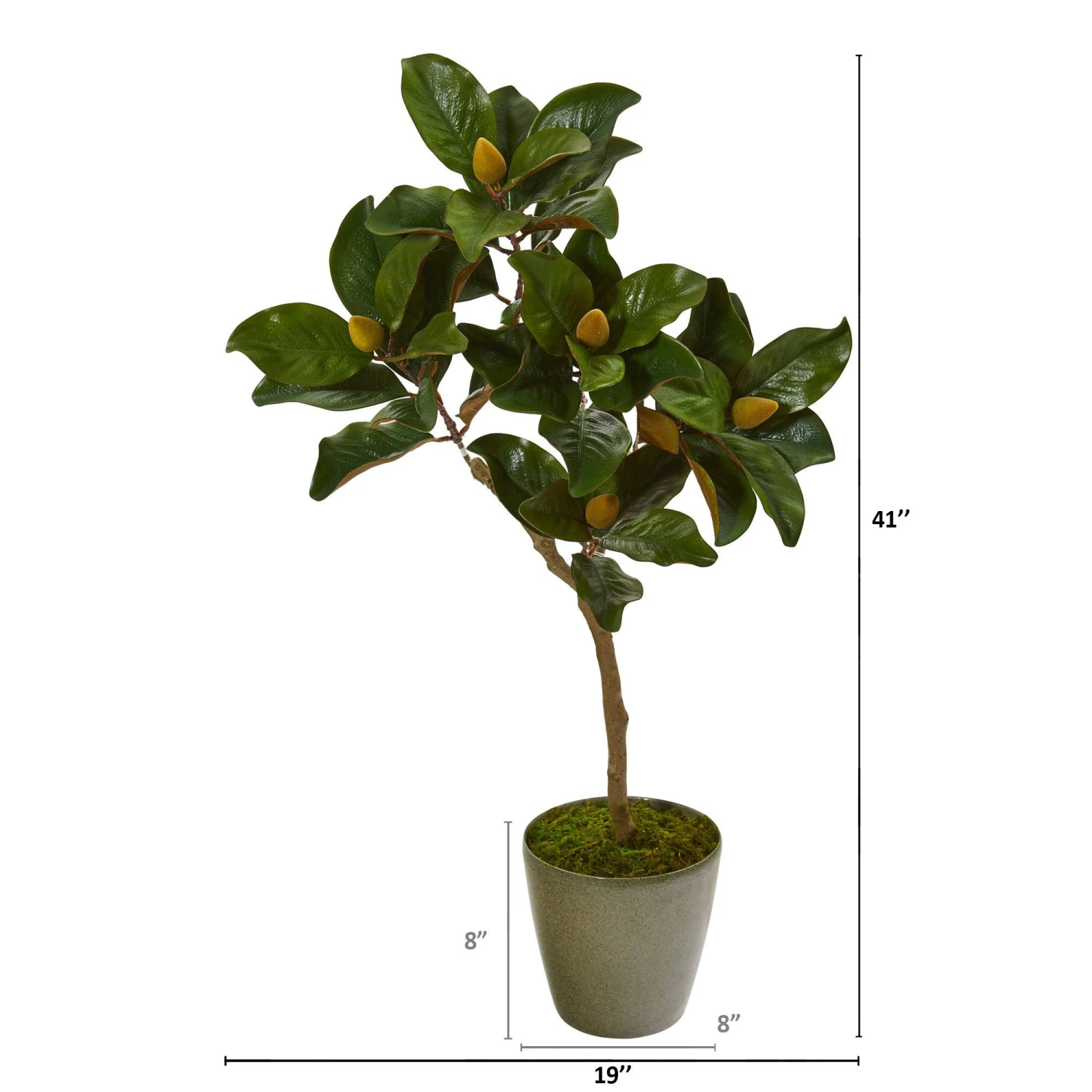 41” Magnolia Leaf Artificial Tree In Olive Green Planter 2 41” Magnolia Leaf Artificial Tree In Olive Green Planter - Image 2