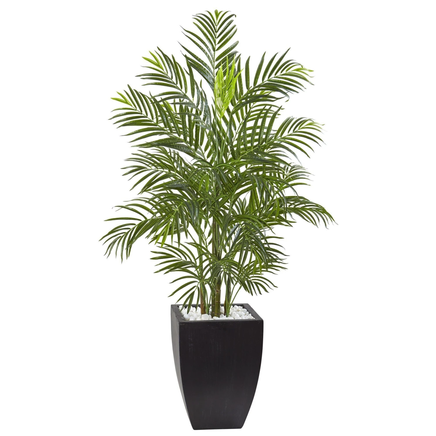 4.5’ Areca Palm Tree With Black Wash Planter UV Resistant (Indoor/Outdoor) 1 4.5’ Areca Palm Tree With Black Wash Planter UV Resistant (Indoor/Outdoor)