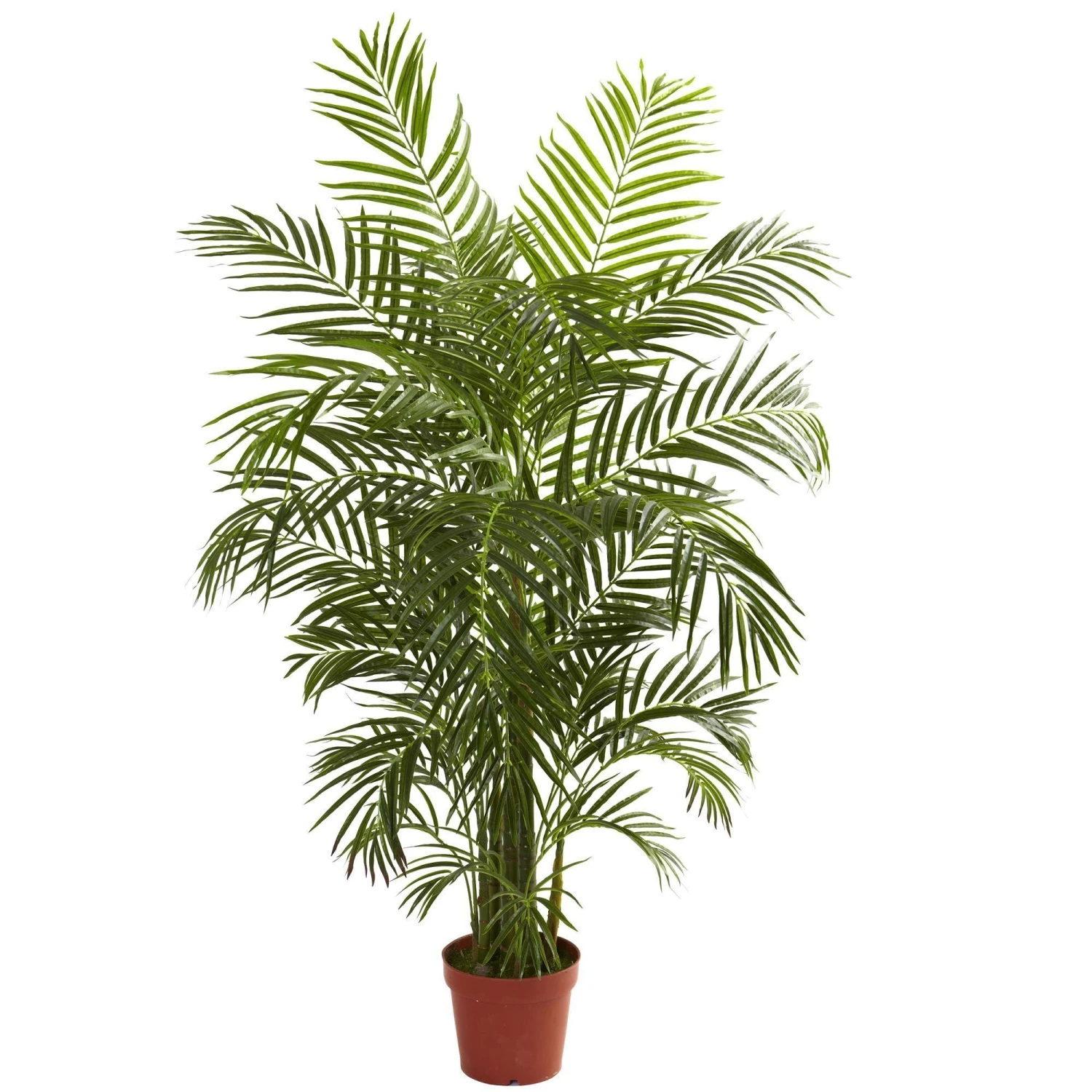 4.5' Areca Palm UV Resistant (Indoor/Outdoor) 1 4.5' Areca Palm UV Resistant (Indoor/Outdoor)