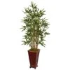 4.5’ Bamboo Tree In Decorative Planter