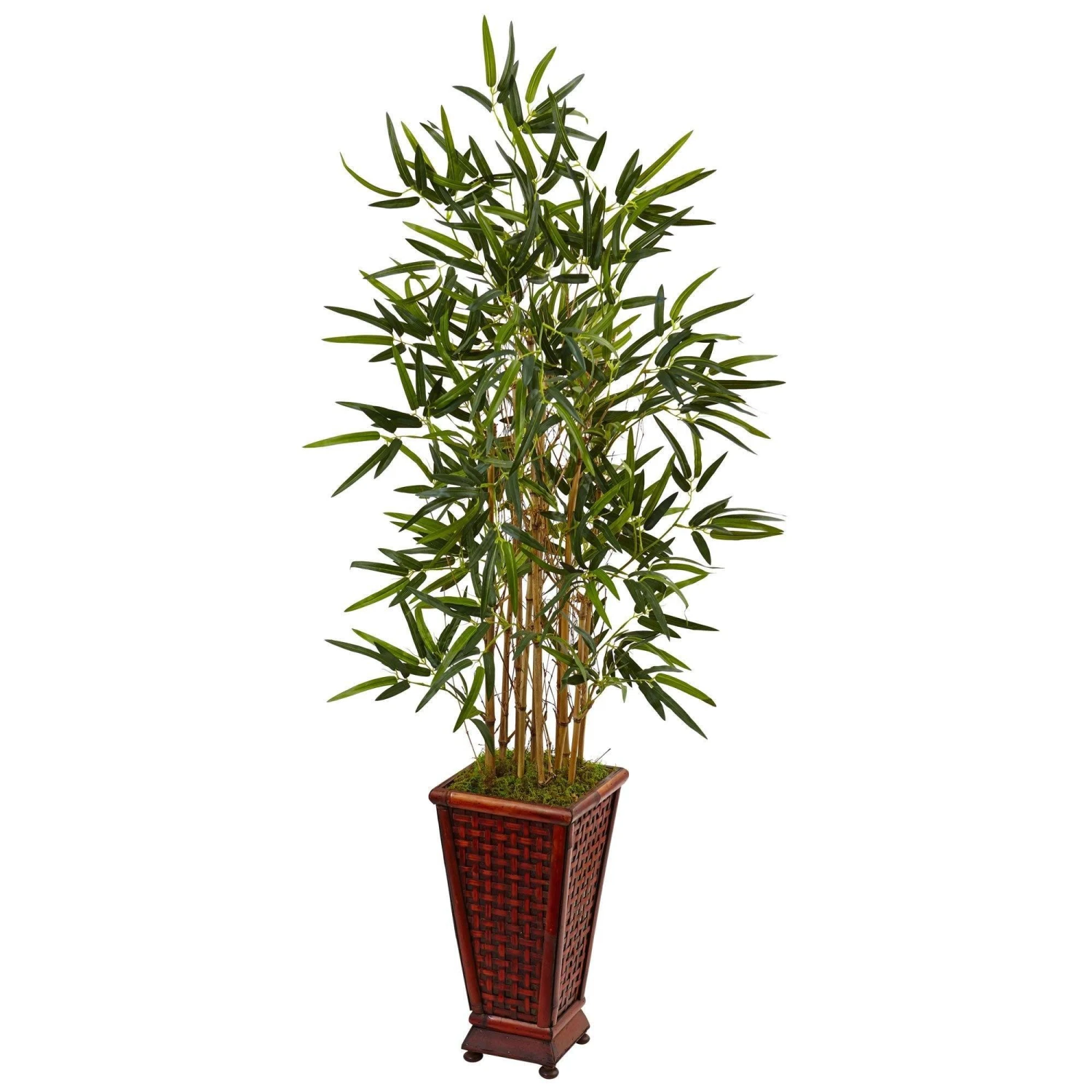 4.5’ Bamboo Tree In Decorative Planter 1 4.5’ Bamboo Tree In Decorative Planter