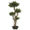 4.5’ Bonsai Styled Podocarpus Artificial Tree