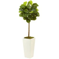 4.5’ Fiddle Leaf Fig In White Planter (Real Touch)