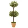 4.5’ Olive Topiary Tree In Terracotta Pot