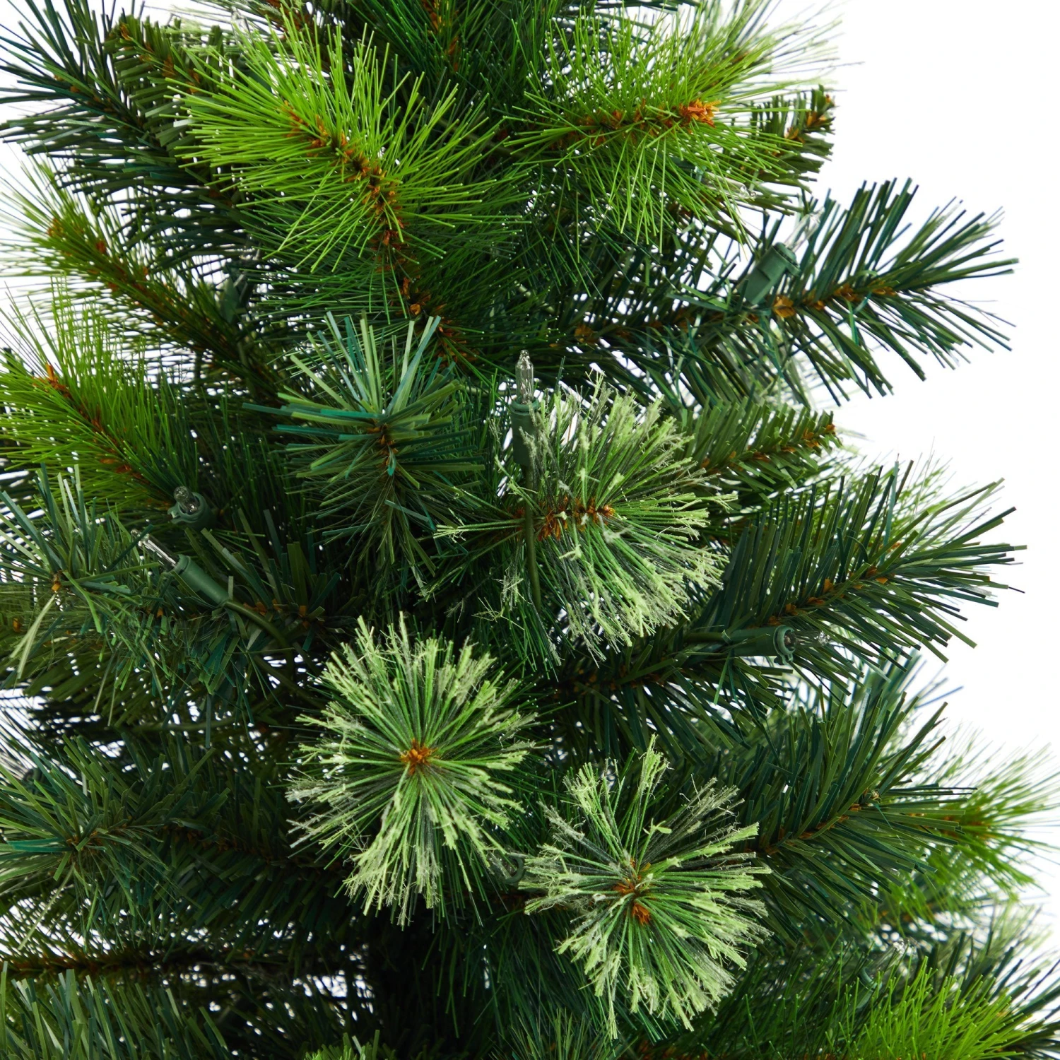 4.5’ Oregon Pine Christmas Tree In Decorative Planter 5 4.5’ Oregon Pine Christmas Tree In Decorative Planter - Image 5